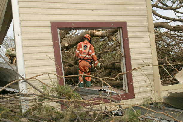 Best Stump Grinding and Removal  in Long Branch, NJ